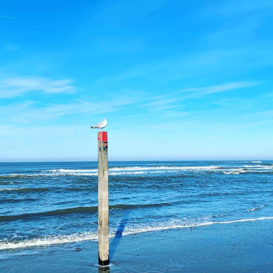 Hotel Zeerust Texel De Koog  Dış mekan fotoğraf